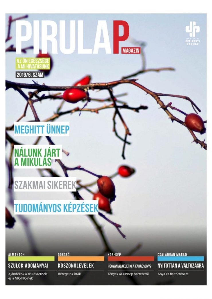 PIRULAP 2019/06