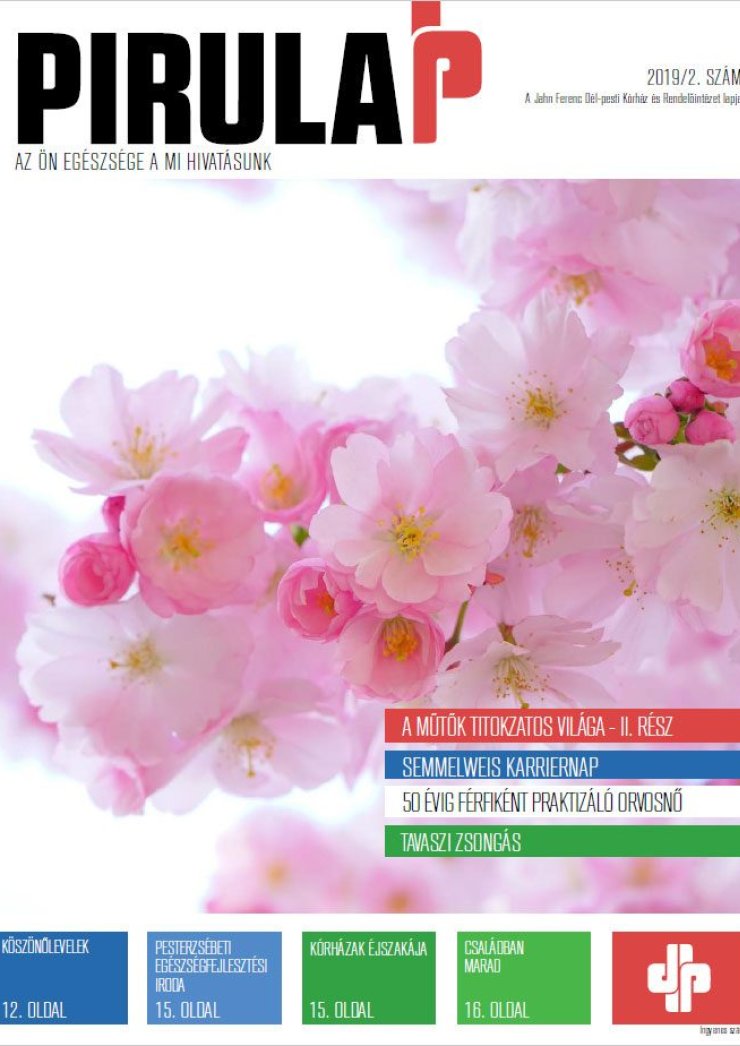 PIRULAP 2019/02