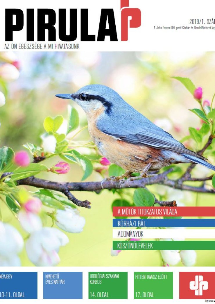 PIRULAP 2019/01
