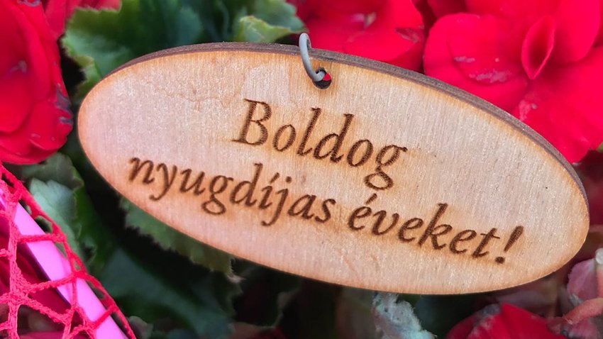 NYUGDÍJBA VONULTAK